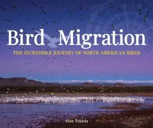 Bird Migration: The Incredible Journeys of North American Birds (Tekiela Stan)(Paperback)