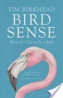 Bird Sense - What It's Like to Be a Bird (Birkhead Tim)(Paperback / softback)