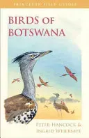 Birds of Botswana (Hancock Peter)(Paperback)