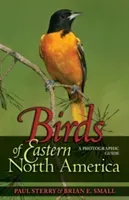 Birds of Eastern North America: A Photographic Guide a Photographic Guide (Sterry Paul)(Paperback)