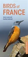 Birds of France (Lowen James)(Paperback)