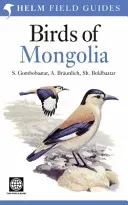 Birds of Mongolia (Sundev Dr Gombobaatar)(Paperback / softback)