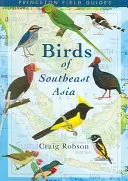 Birds of Southeast Asia (Robson Craig)(Paperback)