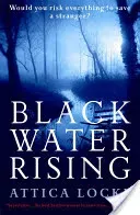 Black Water Rising (Locke Attica)(Paperback / softback)