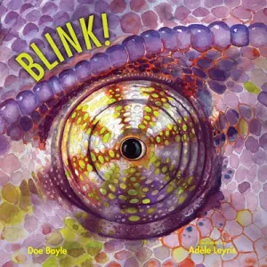 Blink! (Boyle Doe)(Pevná vazba)