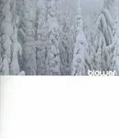 Blower: Snowboarding Inside out (Curtes Jeff)(Pevná vazba)