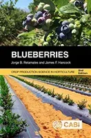 Blueberries (Retamales Jorge B.)(Paperback)