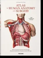 Bourgery. Atlas of Human Anatomy and Surgery (Minor Jean-Marie Le)(Pevná vazba)