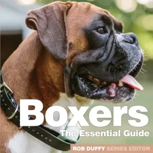 Boxers: The Essential Guide (Duffy Rob)(Paperback)