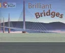 Brilliant Bridges (Barnham Kay)(Paperback)