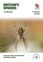 Britain's Spiders: A Field Guide - Fully Revised and Updated Second Edition (Bee Lawrence)(Paperback)