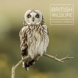 British Wildlife Photography Awards 9 (Gowan Maggie)(Pevná vazba)