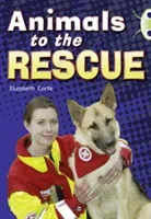 Bug Club Guided Non Fiction Year 2 Gold B Animals to the Rescue (Corfe Elizabeth)(Paperback / softback)
