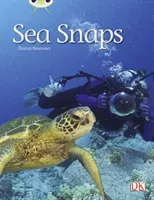 Bug Club Independent Non Fiction Year 1 Green A Sea Snaps (Noonan Diana)(Paperback / softback)