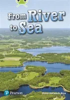 Bug Club Lime Plus A NF From River to Sea (Rice Dona)(Paperback / softback)