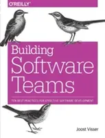 Building Software Teams: Ten Best Practices for Effective Software Development (Visser Joost)(Paperback)