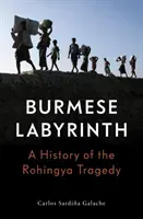 Burmese Labyrinth (Lbe) (Galache Carlos Sardina)(Pevná vazba)