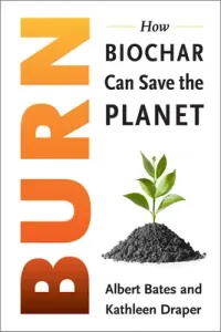 Burn: Igniting a New Carbon Drawdown Economy to End the Climate Crisis (Bates Albert)(Paperback)