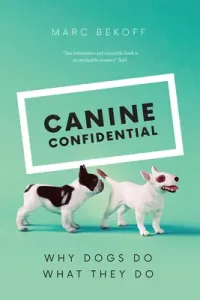 Canine Confidential: Why Dogs Do What They Do (Bekoff Marc)(Paperback)