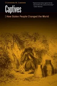 Captives: How Stolen People Changed the World (Cameron Catherine M.)(Paperback)