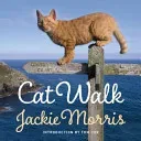 Cat Walk (Morris Jackie)(Pevná vazba)