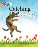 Catching Flies (Crebbin June)(Paperback)