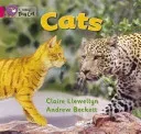 Cats (Llewellyn Claire)(Paperback)