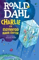 Charlie a'r Esgynnydd Mawr Gwydr (Dahl Roald)(Paperback / softback)