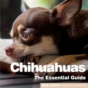Chichuahuas: The Essential Guide (Duffy Rob)(Paperback)