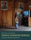China's Vanishing Worlds: Countryside, Traditions, and Cultural Spaces (Messmer Matthias)(Pevná vazba)