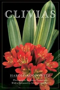 Clivias (Koopowitz Harold)(Paperback)