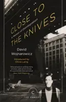 Close to the Knives - A Memoir of Disintegration (Wojnarowicz David)(Paperback / softback)