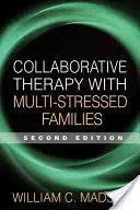 Collaborative Therapy with Multi-Stressed Families (Madsen William C.)(Paperback)