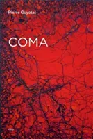 Coma (Guyotat Pierre)(Paperback)