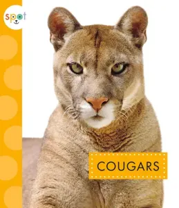 Cougars (Thielges Alissa)(Paperback)