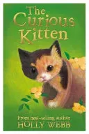 Curious Kitten (Webb Holly)(Paperback / softback)