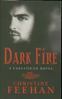 Dark Fire - Number 6 in series (Feehan Christine)(Paperback / softback)