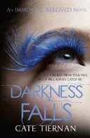 Darkness Falls (Immortal Beloved Book Two) (Tiernan Cate)(Paperback / softback)