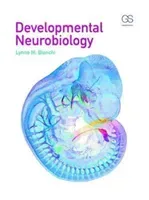 Developmental Neurobiology (Bianchi Lynne)(Paperback)