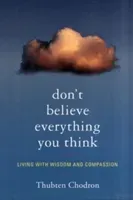 Don't Believe Everything You Think: Living with Wisdom and Compassion (Chodron Thubten)(Paperback)
