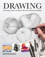 Drawing (Allison Christine)(Paperback)