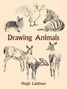 Drawing Animals (Laidman Hugh)(Paperback)