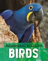 Endangered Wildlife: Rescuing Birds (Ganeri Anita)(Paperback / softback)