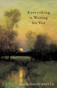 Everything Is Waiting for You (Whyte David)(Paperback)