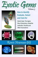 Exotic Gems - Volume 3: How to Identify, Evaluate, Select & Care for Matrix Opal, Fire Agate, Blue Chalcedony, Rubellite, Indicolite, Paraiba & Other Tourmalines (Newman Renee)(Paperback / softback)