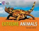 Extreme Animals (Guillain Charlotte)(Paperback)