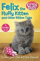 Felix the Fluffy Kitten and Other Kitten Tales (Dale Jenny)(Paperback / softback)
