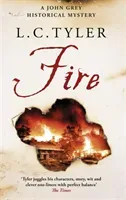 Fire (Tyler L.C.)(Paperback / softback)