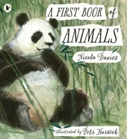 First Book of Animals (Davies Nicola)(Paperback / softback)