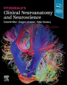 Fitzgerald's Clinical Neuroanatomy and Neuroscience (Mtui Estomih)(Paperback / softback)